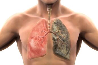 Over 200 harmful compounds poison the body with every puff