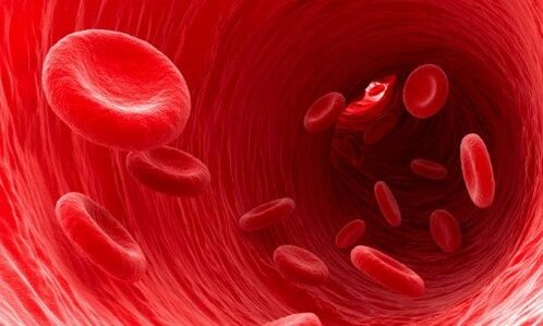 red blood cells